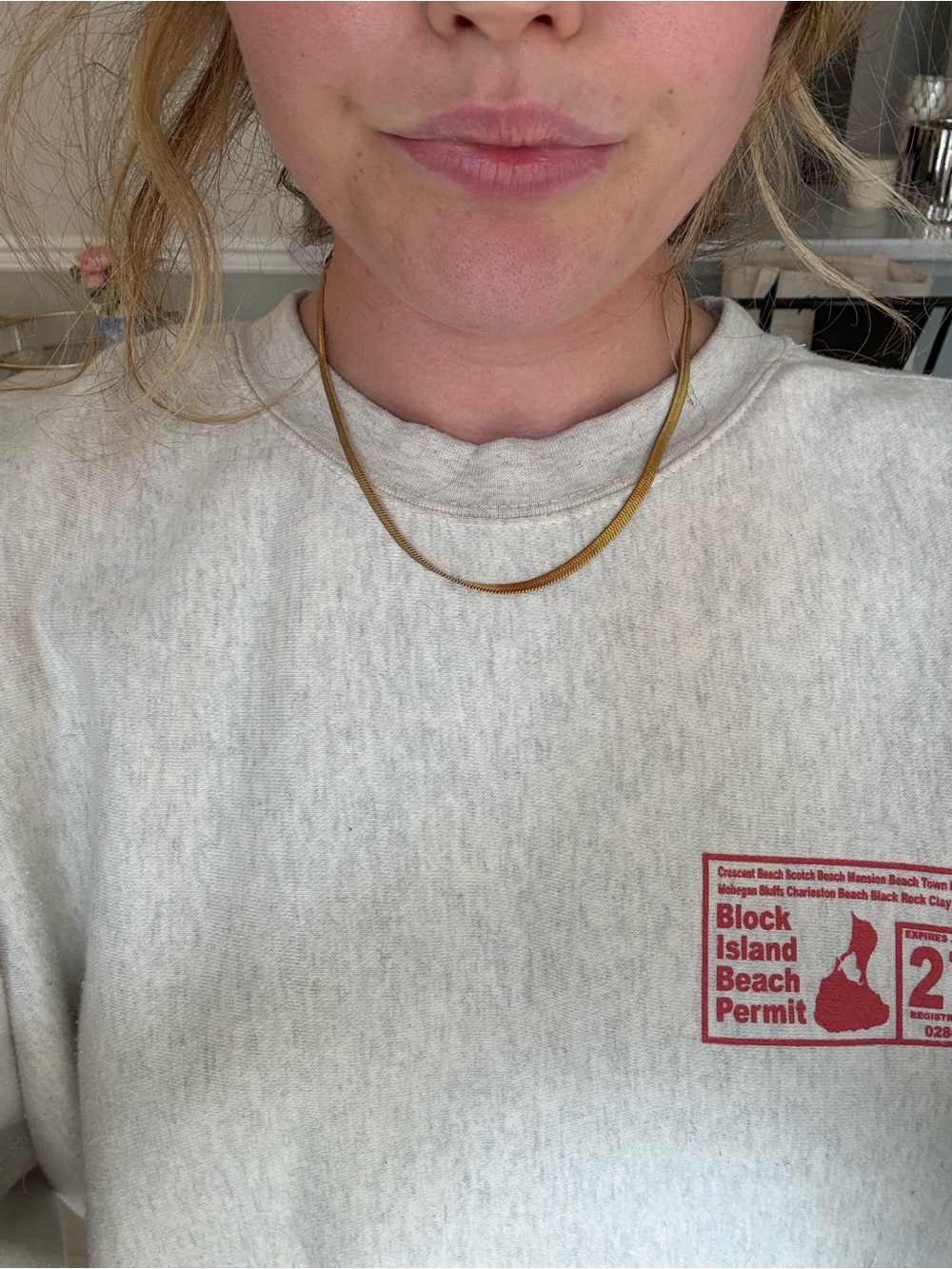Free People Gold Snake Chain Necklace